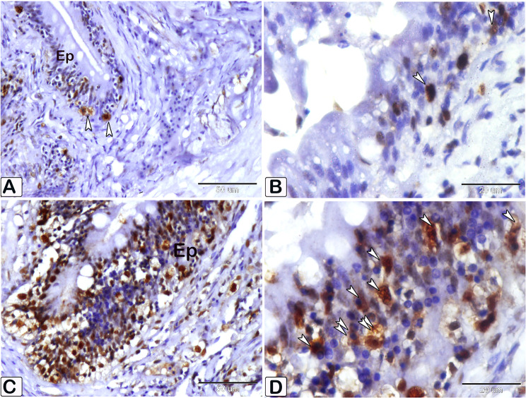 Fig. 10