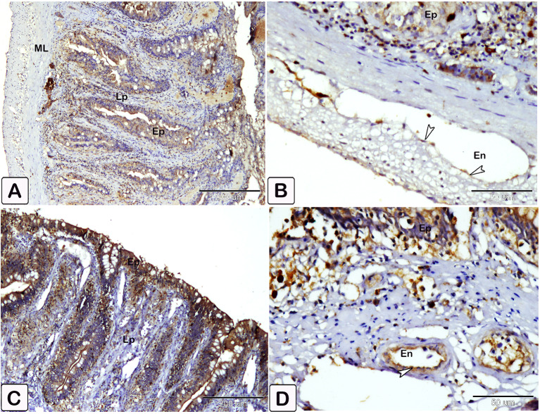 Fig. 23