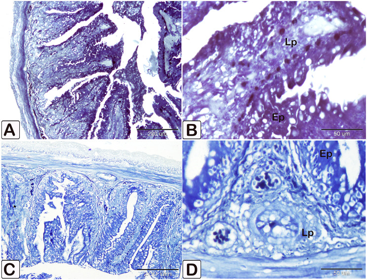 Fig. 27