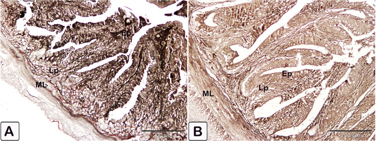 Fig. 26