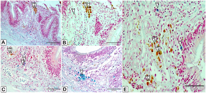 Fig. 8