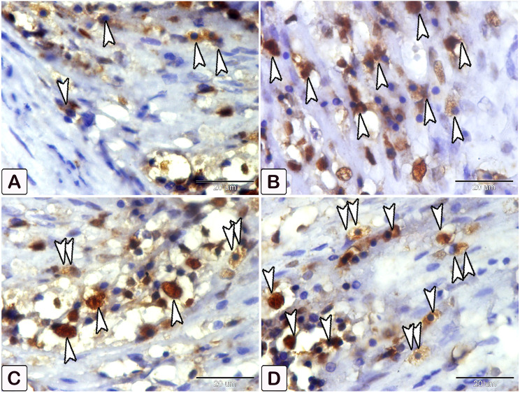 Fig. 11