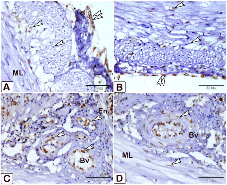 Fig. 22