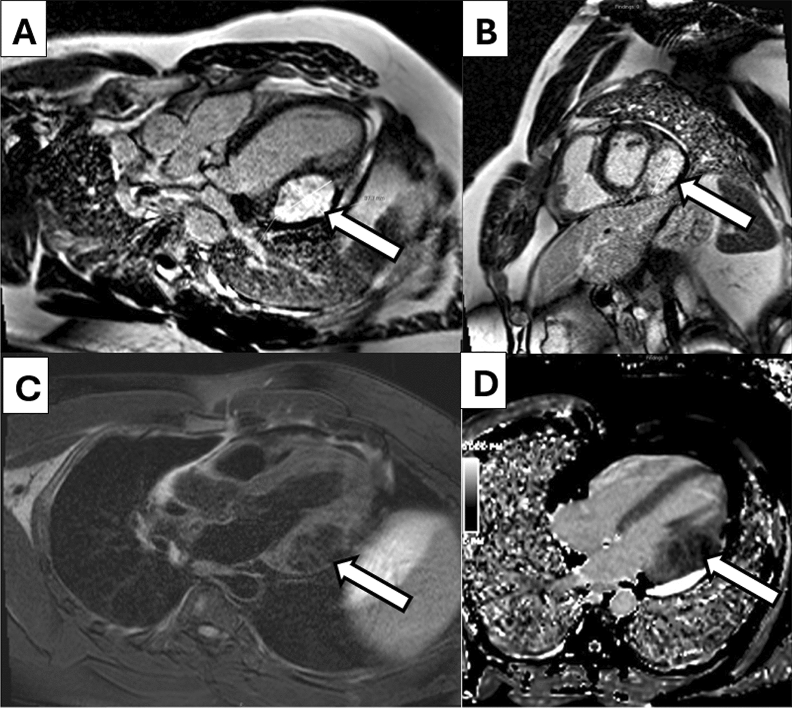 Fig. 6