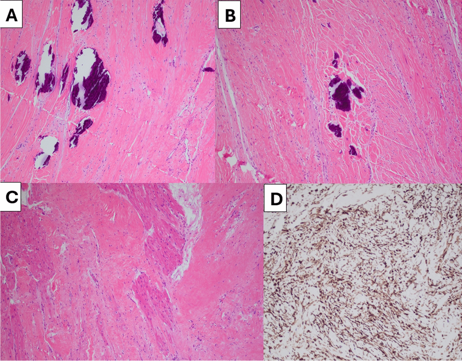 Fig. 8