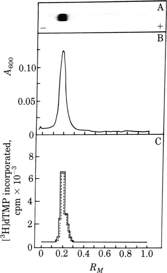 graphic file with name pnas00659-0099-a.jpg