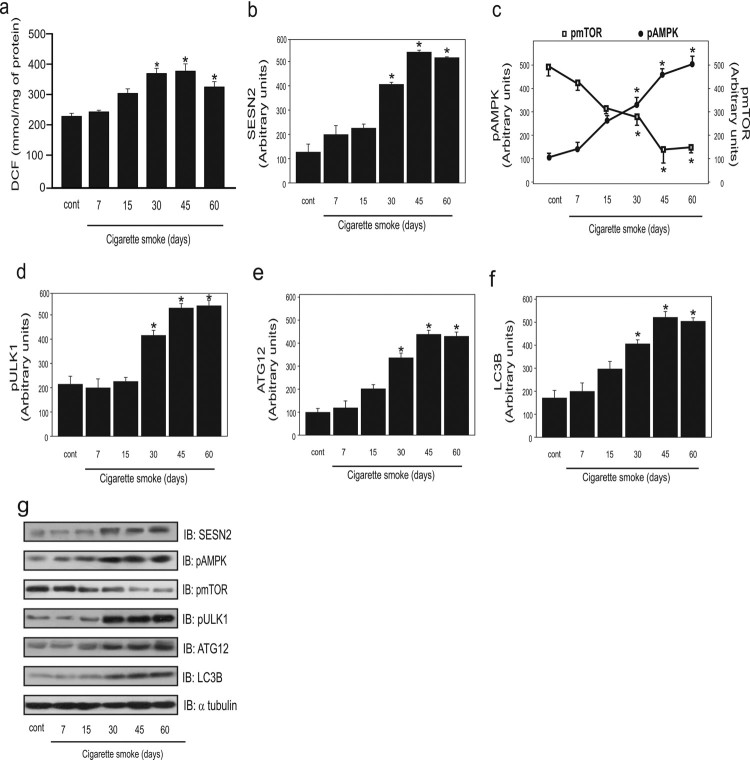 Figure
1.