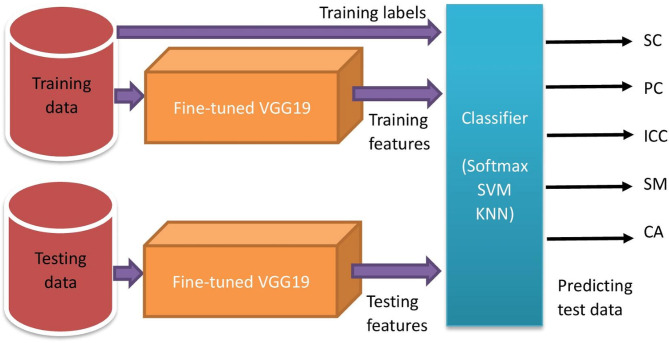 Fig. 5