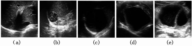 Fig. 9