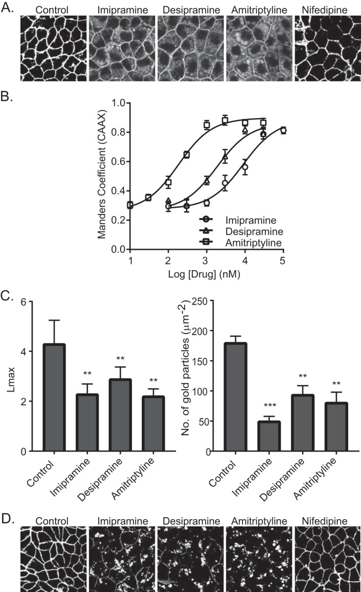 FIG 3