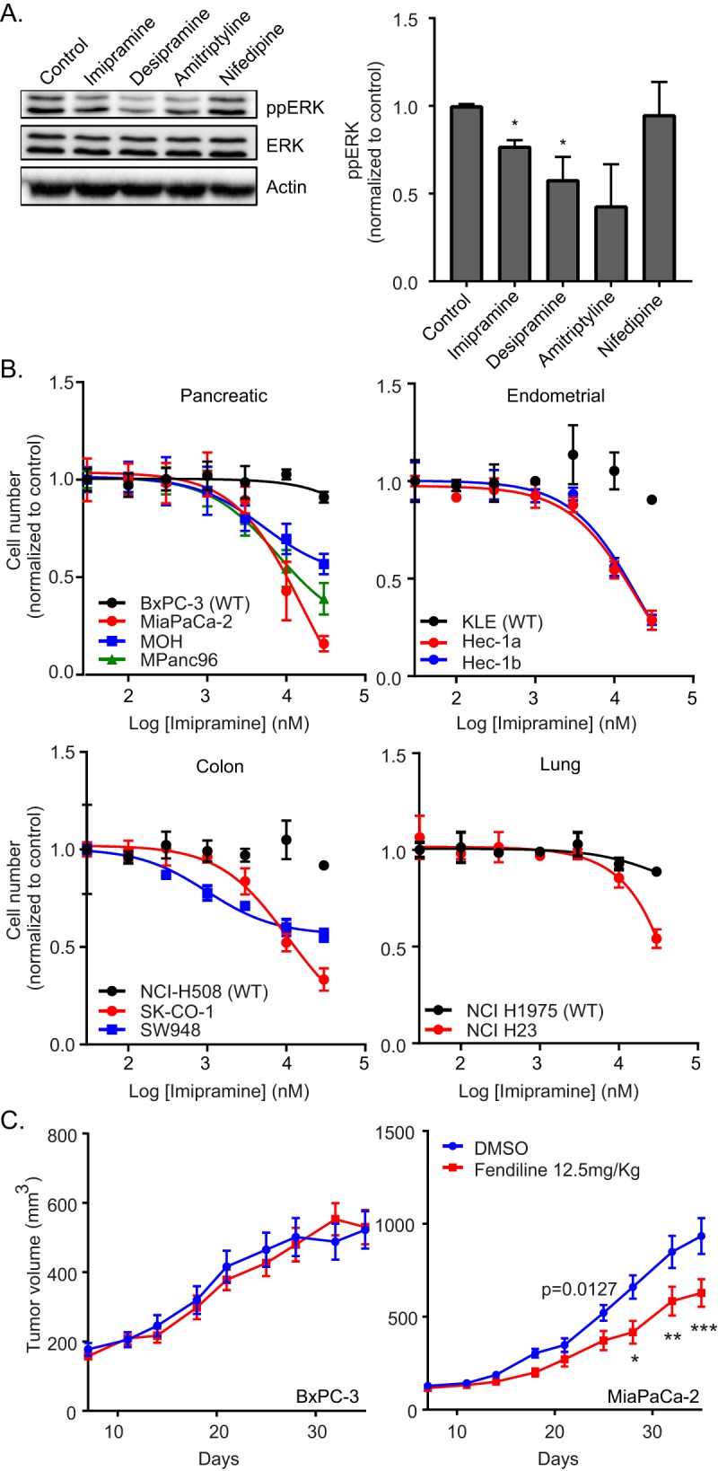 FIG 4