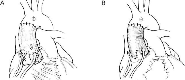 Figure 6: