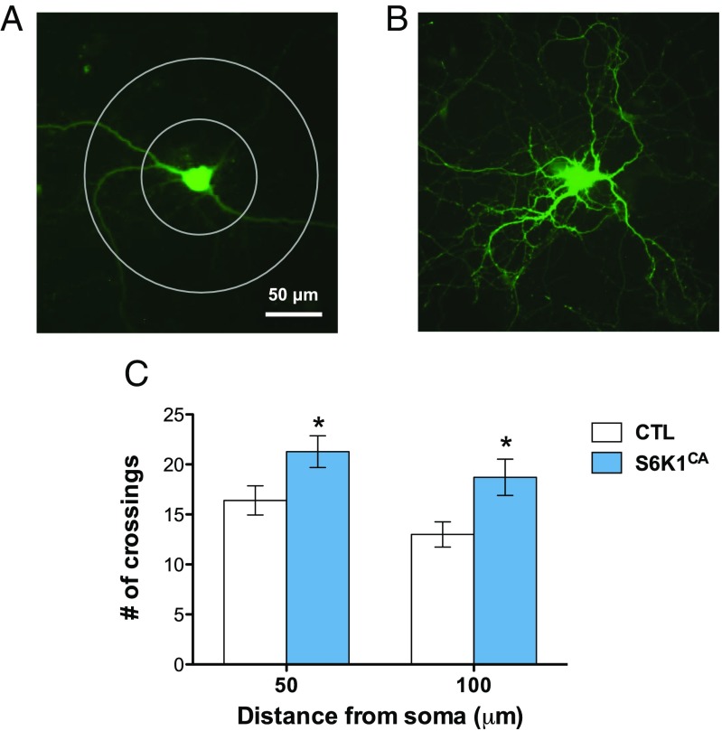 Fig. 6.