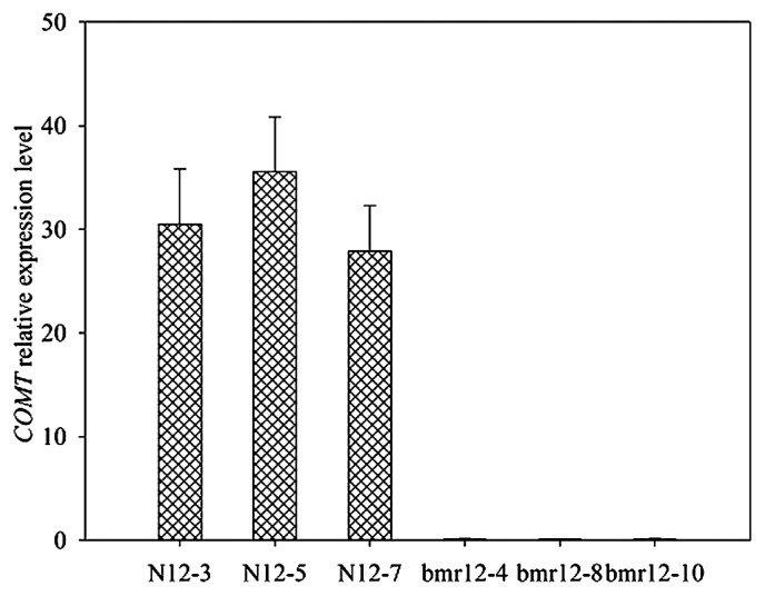 Fig. 5