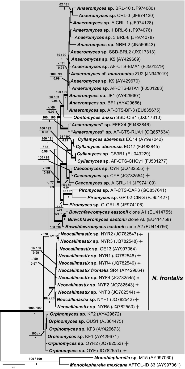 Fig. 3