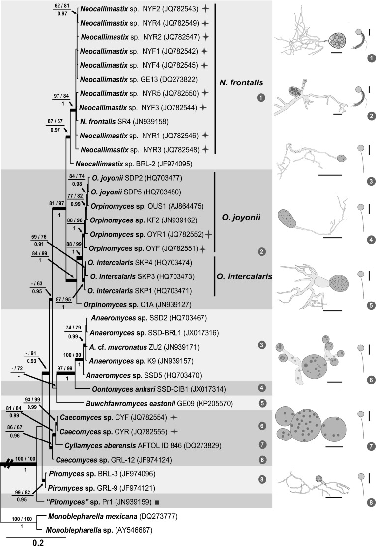 Fig. 4