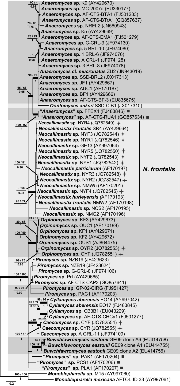 Fig. 2