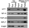 Figure EV3