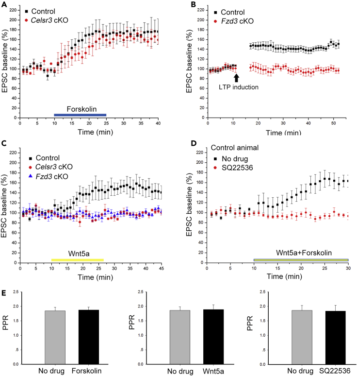 Figure 6