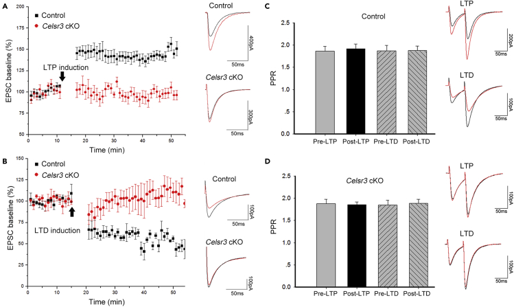 Figure 5