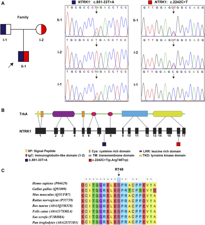 FIGURE 2