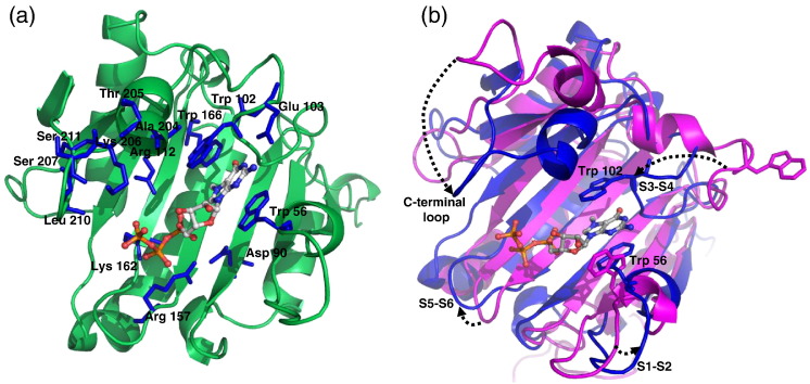 Fig. 2