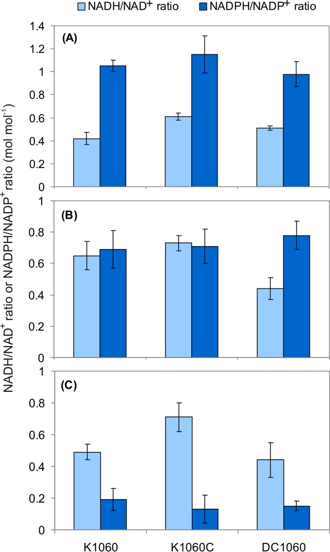 FIG 1