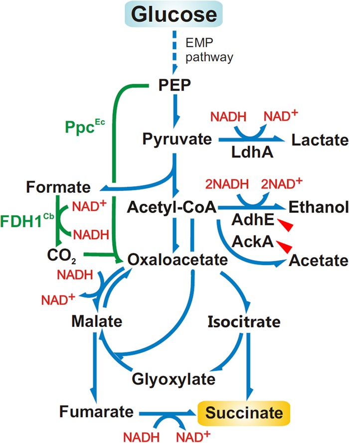 FIG 3