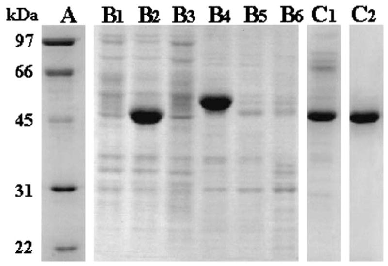 Fig. 4