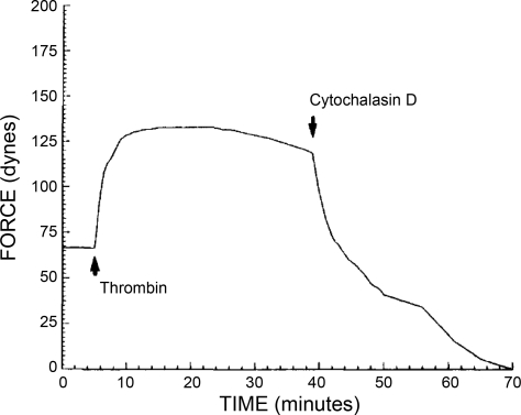 Fig. 4.