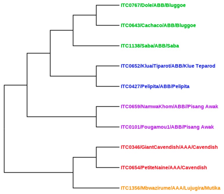 Figure 6