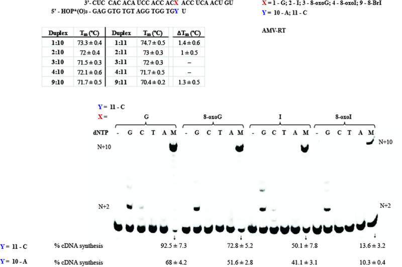 Fig 5