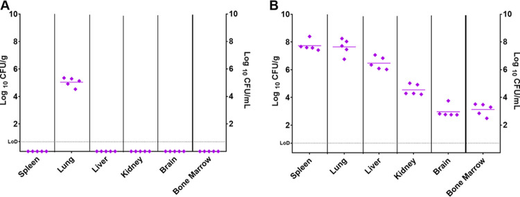 FIG 1