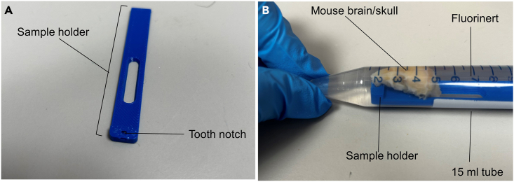 Figure 1