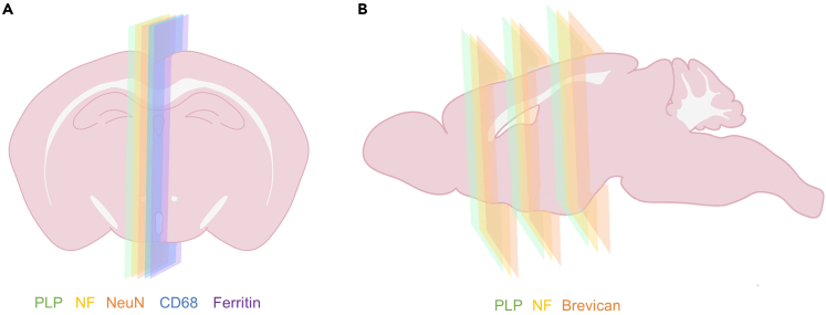 Figure 5