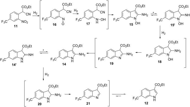 Scheme 5