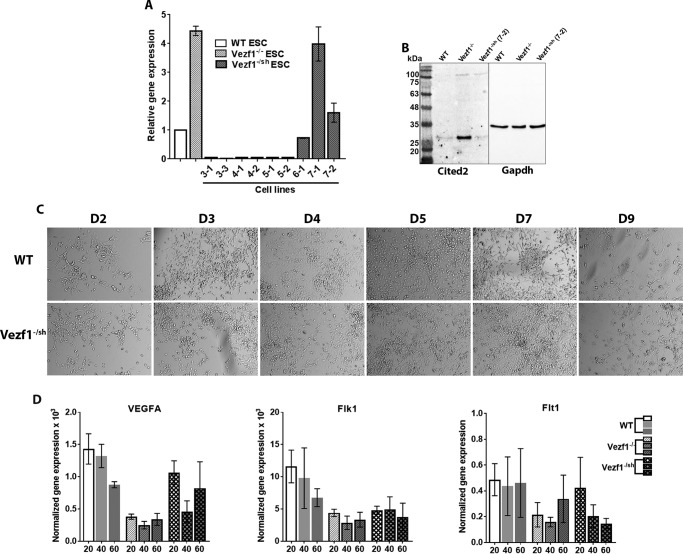 Figure 6.