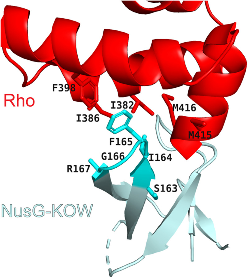 FIGURE 3