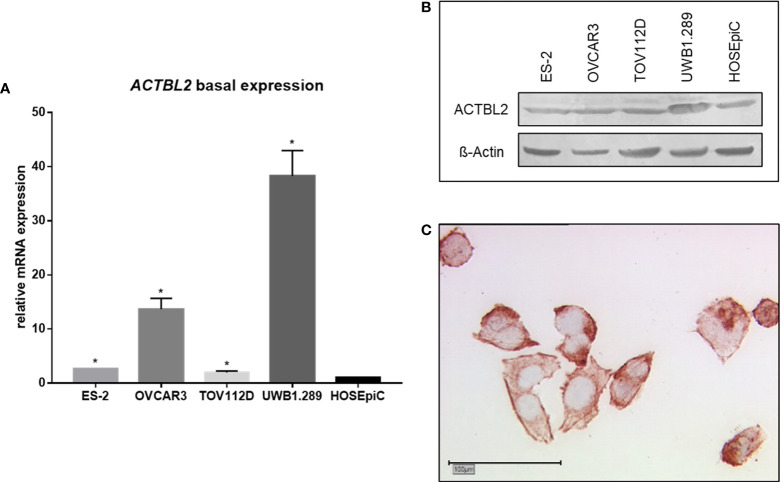 Figure 2