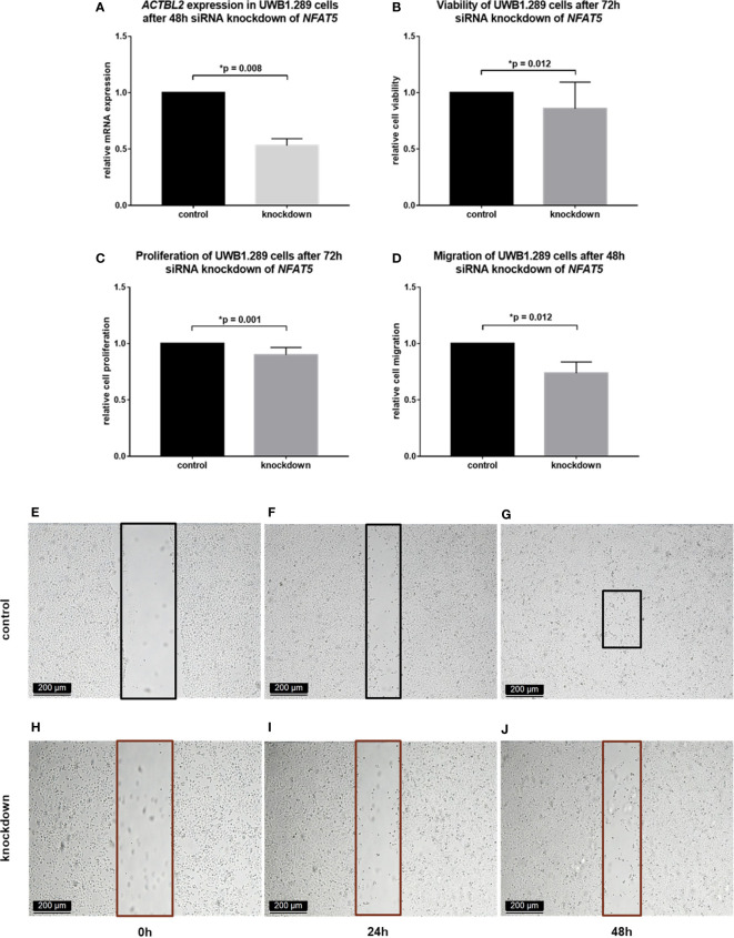 Figure 5