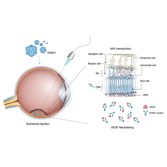 graphic file with name fx1.jpg