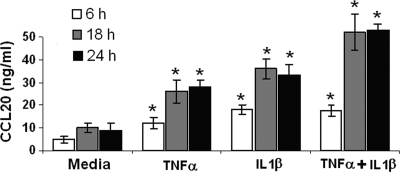 Fig. 6.