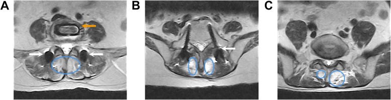 Fig. 3