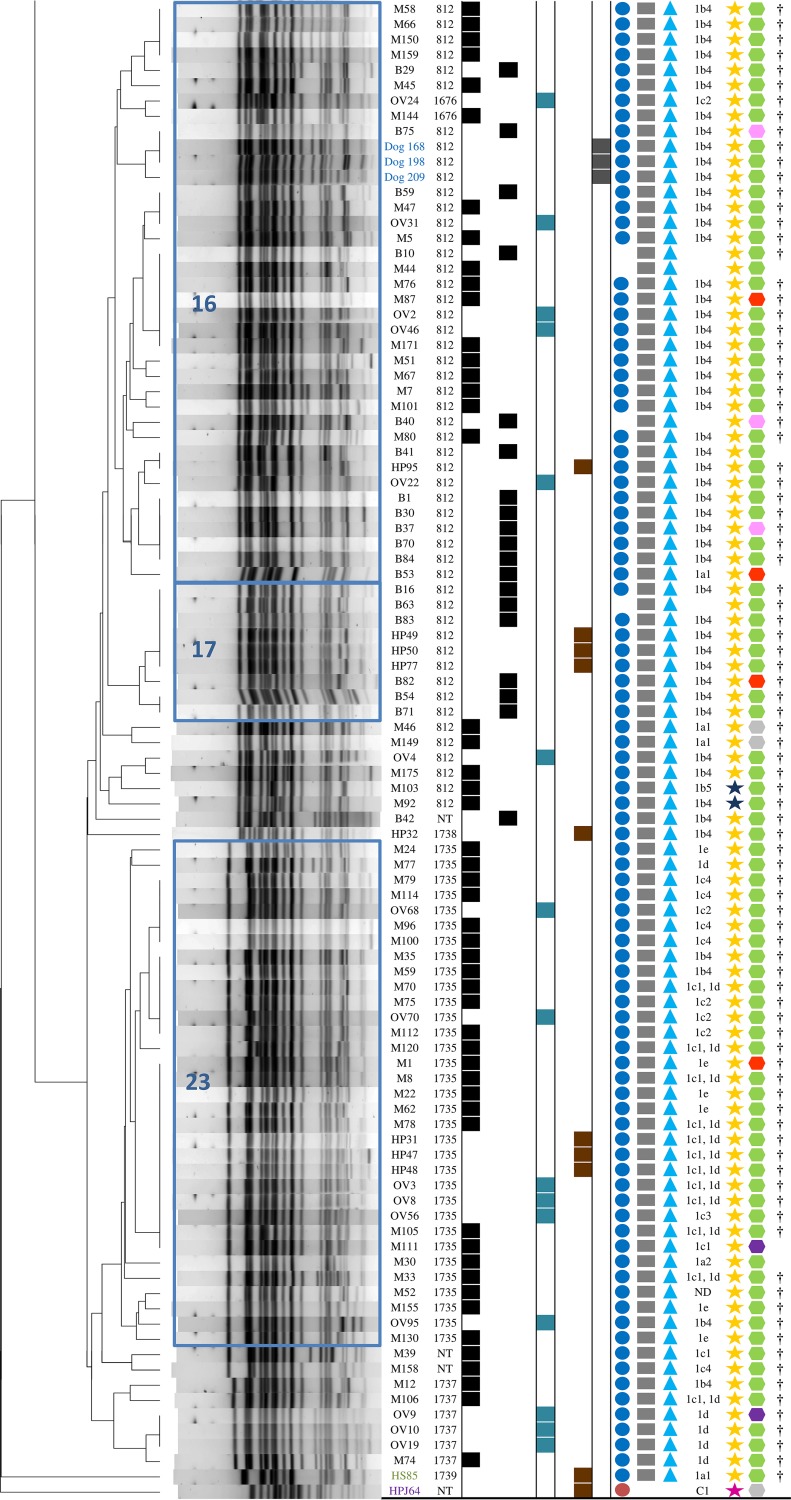 FIG 1