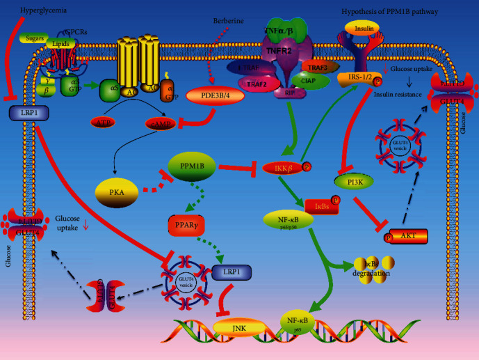 Figure 12