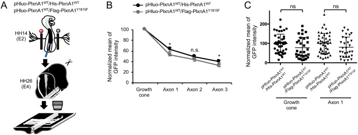 Figure 3—figure supplement 1.