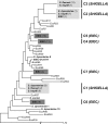 Fig 8
