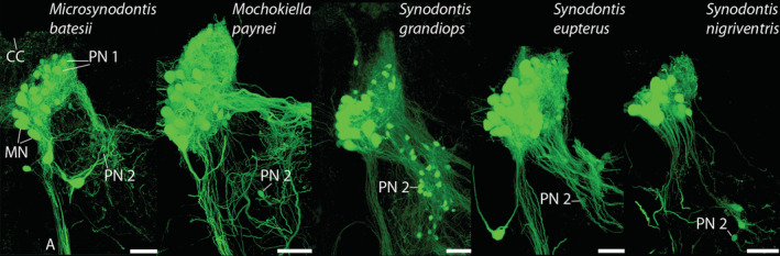 FIGURE 14