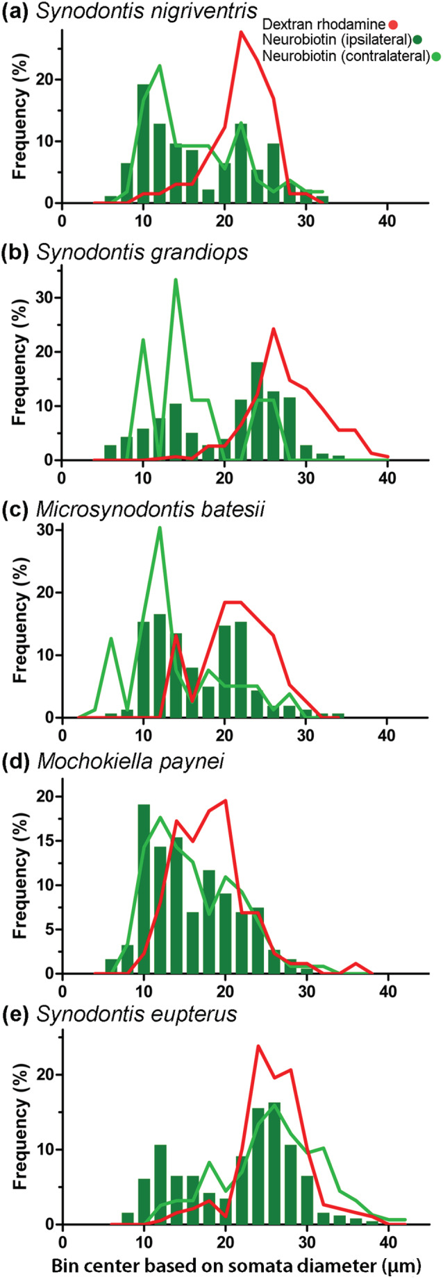 FIGURE 13