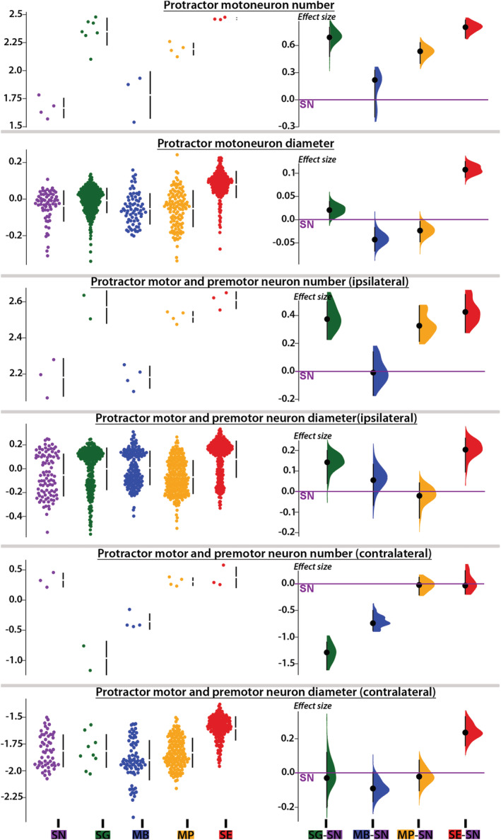 FIGURE 11